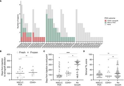 Phenotyping of lymphoproliferative tumours generated in xenografts of non-small cell lung cancer